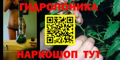 трава Севастополь