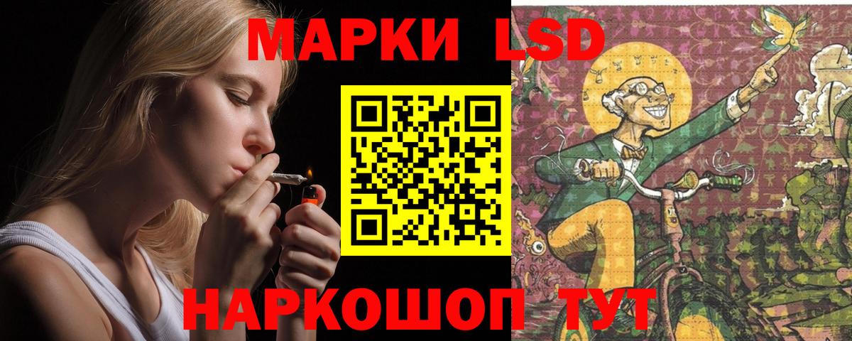 Новороссийск  LSD-25 экстази кислота  LSD-25 экстази    ТОР  ЛСД экстази кислота  Вход с VPN 