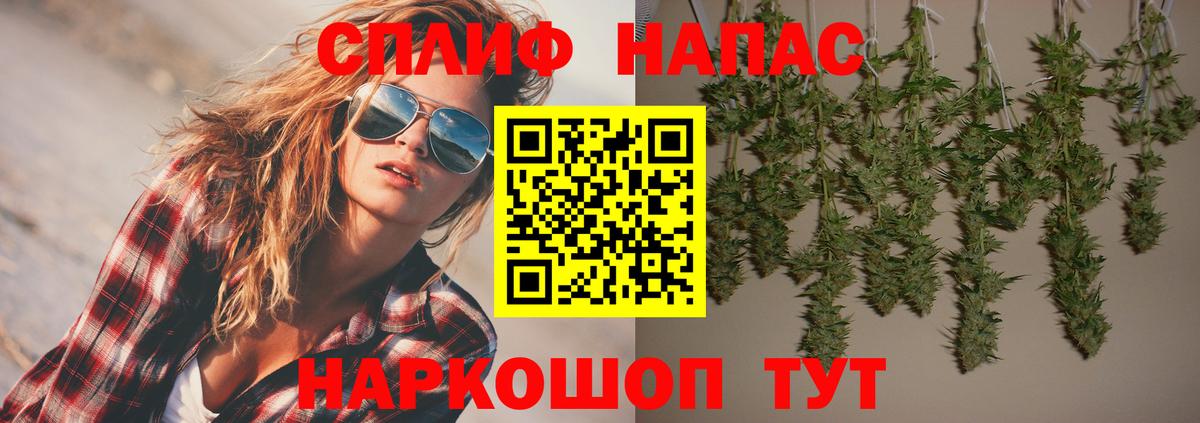 Конопля AK-47  Конопля гибрид  Вход с VPN  Новороссийск  Бошки Шишки SATIVA & INDICA 